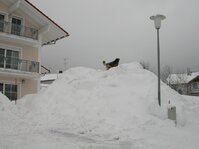 DSCN4391.JPG