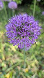 PXL_20260509_125134248.jpg