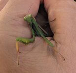 PXL_20260930_131422017_z.jpg
