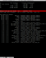 ptop-x31-x.png