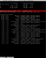 ptop-x31-x-dpms.png
