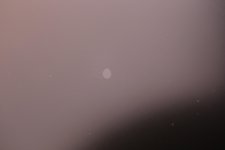 IMG_8768.jpg