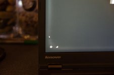 DSC07979.jpg