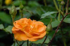 20160611_5532.jpg
