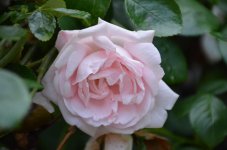 DSC_0673.jpg