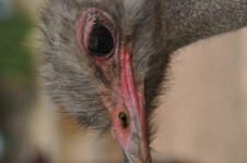 DSC_0227.jpg