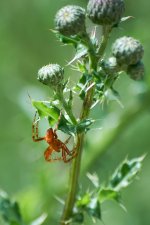 20160703_5708.jpg