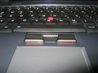 IMG_2489q.JPG