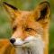 Vulpes